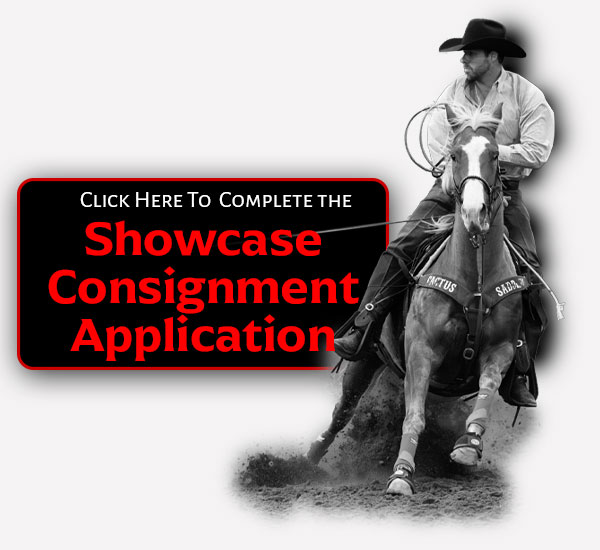 Riata Showcase Sale Consignment