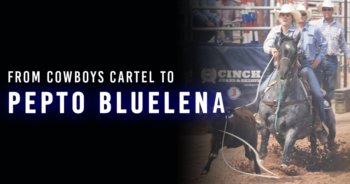 From Cowboys Cartel to Pepto Bluelena