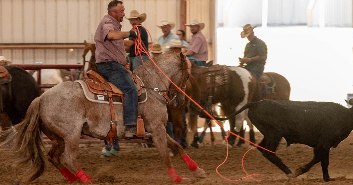 Riata Horses Earn $41,000 at Hamilton