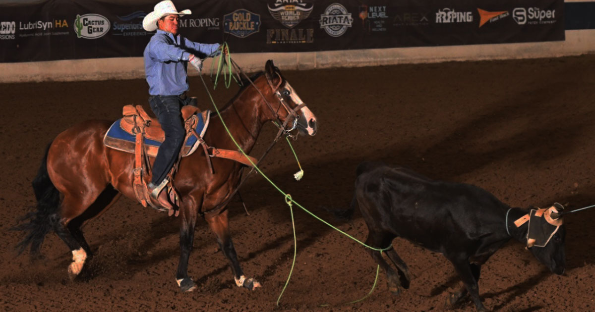 Riata Side Pot Dominates at The Daddy in Cheyenne – With over $240,000 Paid Out to Riata Horses